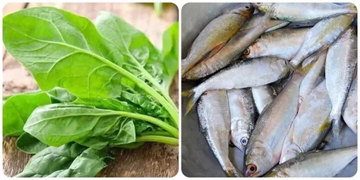 10 thực phẩm giàu Omega-3 ai cũng cần biết