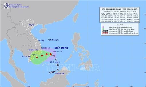 ​Từ Phú Yên đến Cà Mau chủ động ứng phó bão số 10