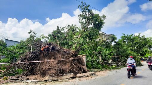 Chủ động ứng phó áp thấp nhiệt đới, mưa trái mùa tại tỉnh An Giang