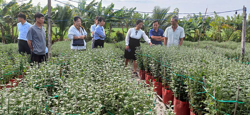 Tập huấn kỹ thuật sản xuất hoa cho nông dân huyện Thoại Sơn