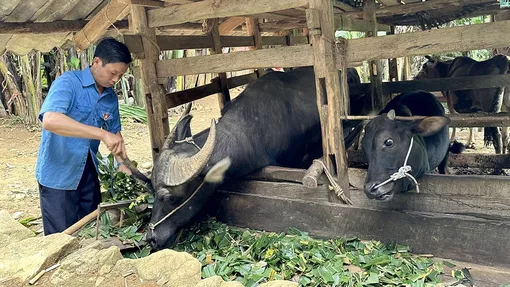 Việt Nam là điểm sáng về giảm nghèo của thế giới