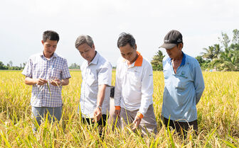 Châu Thành phát triển thế mạnh nông nghiệp