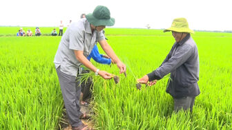 Lãnh đạo huyện Phú Tân kiểm tra xuống giống vụ đông xuân