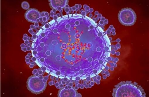 Ấn Độ phát hiện trường hợp đầu tiên nhiễm virus HMPV