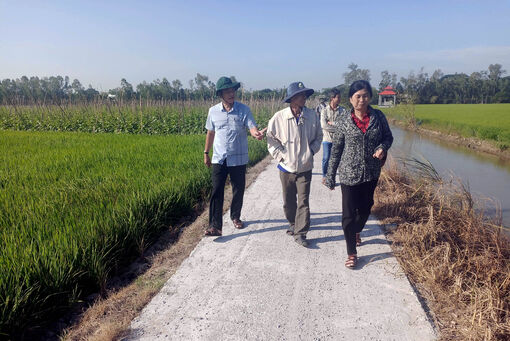 Lãnh đạo huyện Phú Tân kiểm tra tình hình lúa, nếp trước Tết Nguyên đán