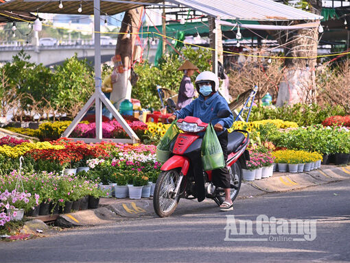 Sôi động những ngày cận Tết