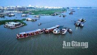 Vi vu An Giang những ngày Tết