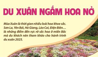 Những điểm đến hấp dẫn cho hành trình du xuân ngắm hoa nở