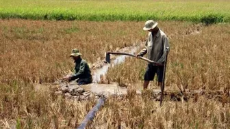 Xâm nhập mặn ở khu vực Nam Bộ tăng cao trong những ngày đầu tháng 2