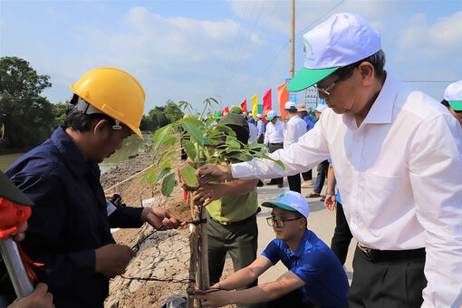 Mùa Xuân là Tết trồng cây