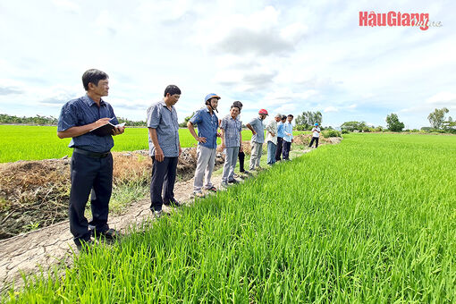 “Đòn bẩy” phát triển kinh tế tập thể