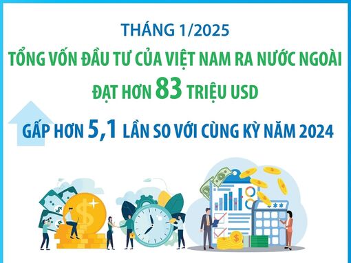 Tháng 1/2025: Đầu tư của Việt Nam ra nước ngoài gấp hơn 5,1 lần so với cùng kỳ năm 2024