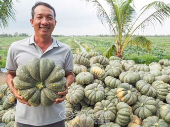 Niềm vui trúng mùa, trúng giá bí đỏ