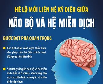 Hé lộ mối liên hệ kỳ diệu giữa não bộ và hệ miễn dịch