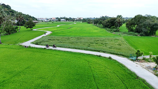 Định hướng phát triển du lịch An Giang