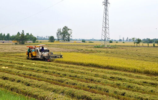 Phát triển nông nghiệp An Giang hiện đại, bền vững