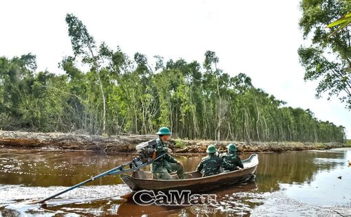 Hương tràm vùng biên