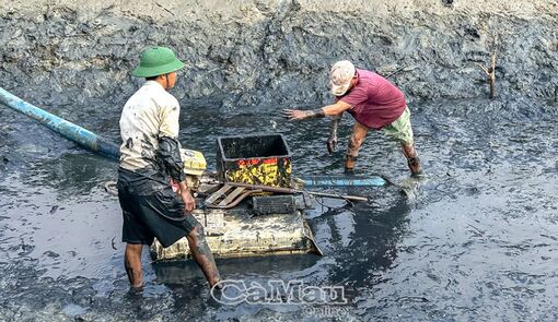 Tiến tới chấm dứt hoàn toàn khai thác huỷ diệt