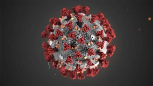 Giới khoa học trấn an về thông tin chủng virus corona mới có thể xâm nhập tế bào người