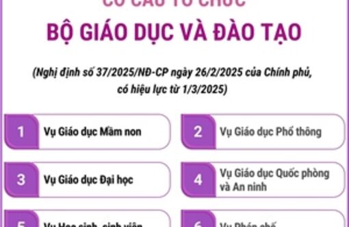 Cơ cấu tổ chức của Bộ Giáo dục và Đào tạo