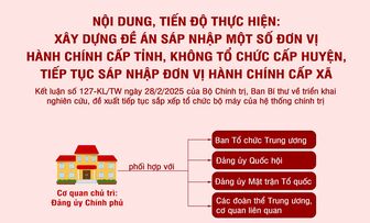 Nội dung, tiến độ thực hiện đề án sáp nhập một số đơn vị hành chính cấp tỉnh và xã, không tổ chức cấp huyện