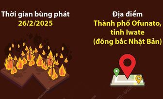 Nhật Bản: Cháy rừng tồi tệ nhất trong nửa thế kỷ