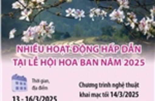 Nhiều hoạt động hấp dẫn tại Lễ hội Hoa Ban năm 2025