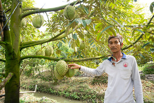 Châu Thành phát triển kinh tế nông thôn