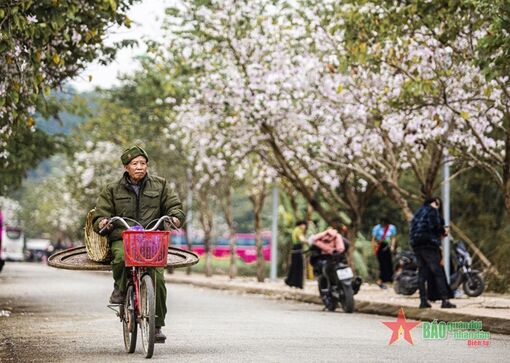 Thời tiết hôm nay (25-3): Miền Bắc nắng nóng trước khi chuyển lạnh, cao nhất 32 độ C