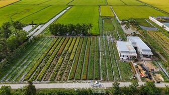 Nền tảng xây dựng nông thôn hiện đại