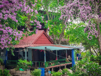 Sắc tím trên non