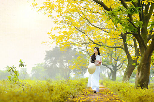 Gió đồng mùa hạ