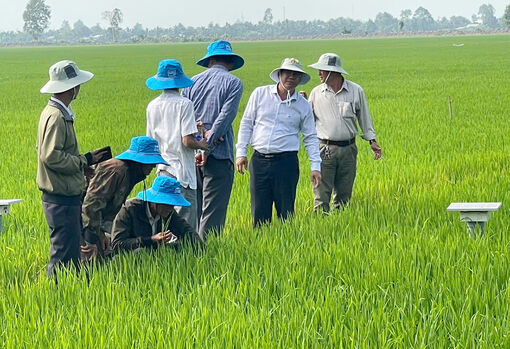 Châu Phú phấn đấu hoàn thành kế hoạch quý II