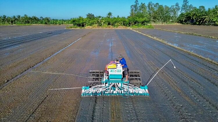 Thí điểm canh tác lúa chất lượng cao, phát thải thấp