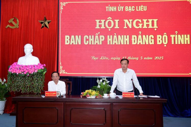 Hội nghị Ban Chấp hành Đảng bộ tỉnh: Thông qua các đề án sắp xếp đơn vị hành chính