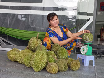 Thăm vườn sầu riêng, nghe chuyện nhà nông