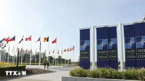 NATO điều tra nghi án tham nhũng trong hợp đồng mua sắm quân sự