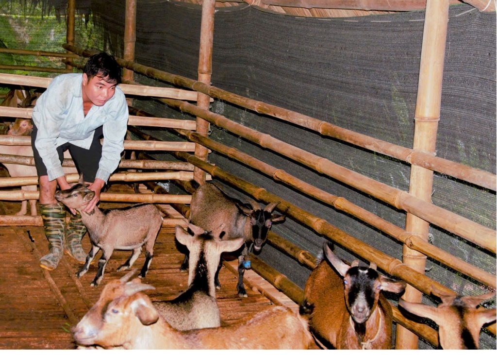 Mức hỗ trợ thực hiện các hoạt động phát triển sản xuất