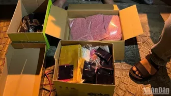Bắt giữ 5 đối tượng trong đường dây ma túy lớn tại Quảng Trị