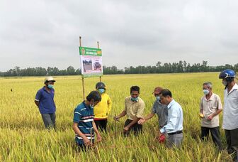 Hỗ trợ vốn để nông dân phát triển sản xuất
