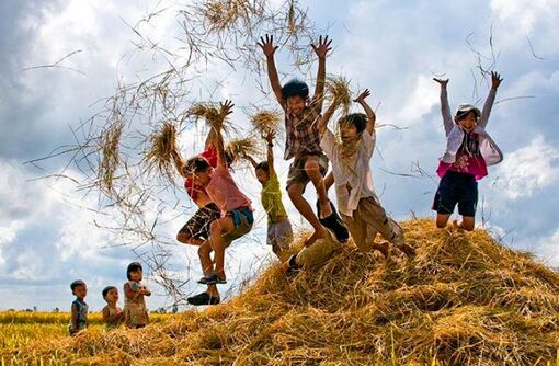 Tuổi thơ rơm rạ