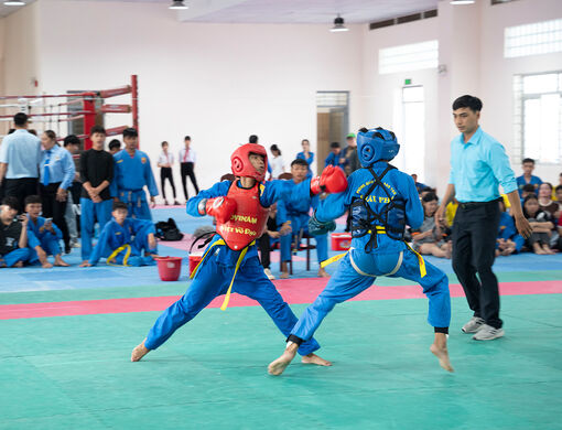 Võ thuật Vovinam phát triển