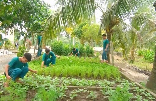 Hiệu quả phong trào thi đua “Ngành hậu cần quân đội làm theo lời Bác Hồ dạy”