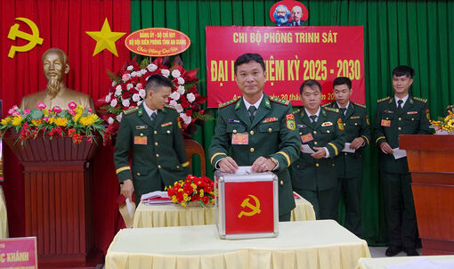 Bộ đội Biên phòng tỉnh An Giang hoàn thành đại hội chi bộ, đảng bộ cơ sở