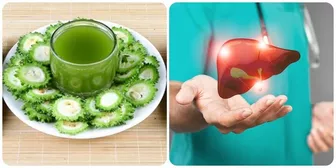 Mướp đắng có tốt cho gan?
