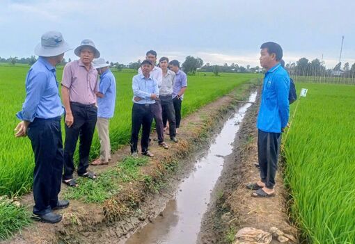 Châu Phú tập trung phát triển nông nghiệp