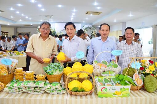 An Giang tích cực chuyển đổi cơ cấu cây trồng