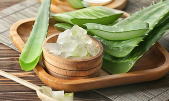 7 công dụng bất ngờ của nha đam