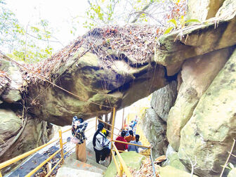 Lên vồ Thiên Tuế
