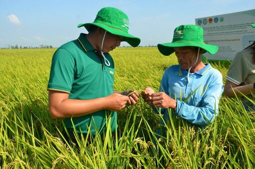 Cán bộ khuyến nông đồng hành cùng nông dân